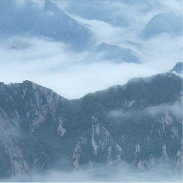 网站攻击软件工具